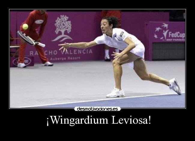 ¡Wingardium Leviosa! -