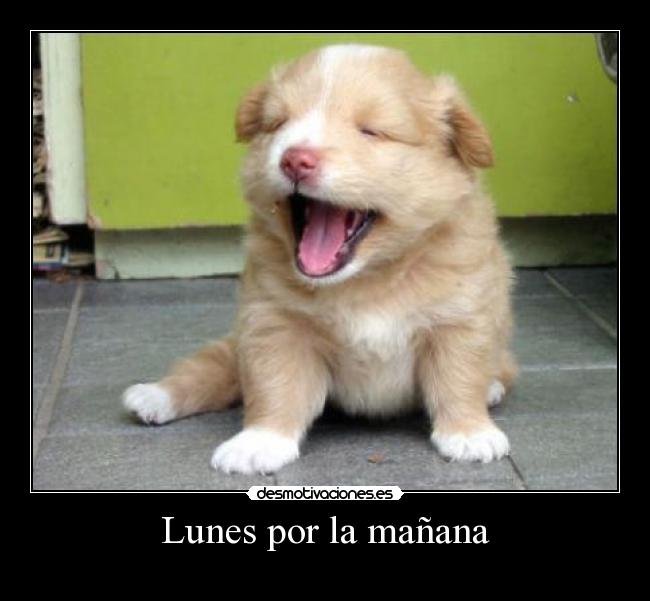 Lunes por la mañana - 