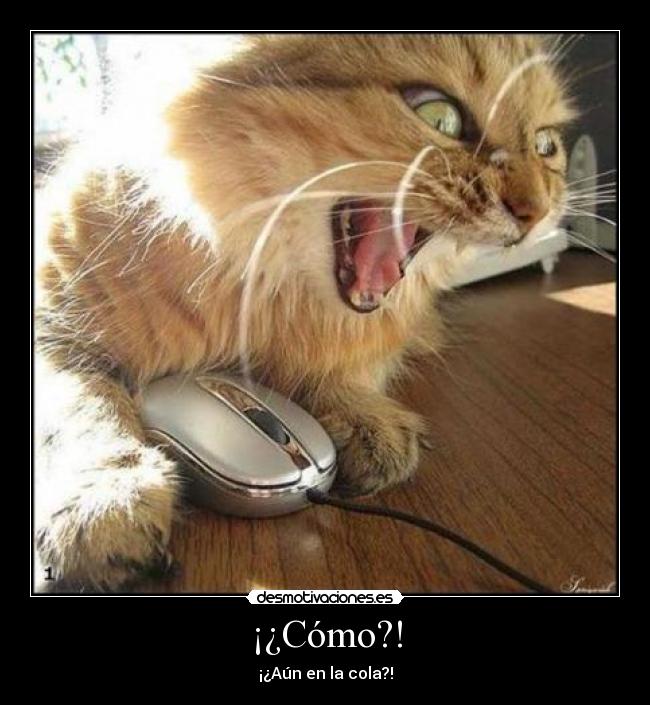 ¡¿Cómo?! -