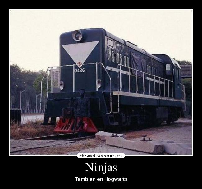 Ninjas - Tambien en Hogwarts