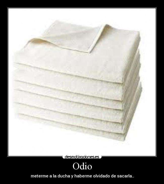 Odio - 