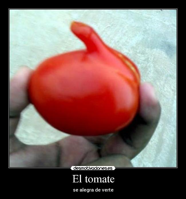 carteles cash desmotivaciones