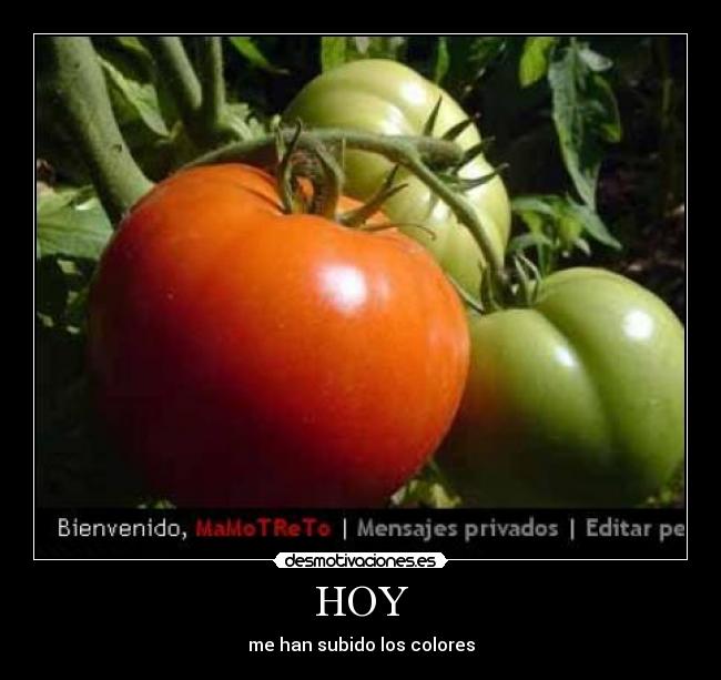 HOY - me han subido los colores