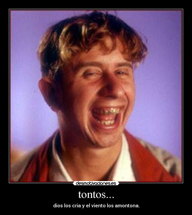 tontos... - dios los cria y el viento los amontona.