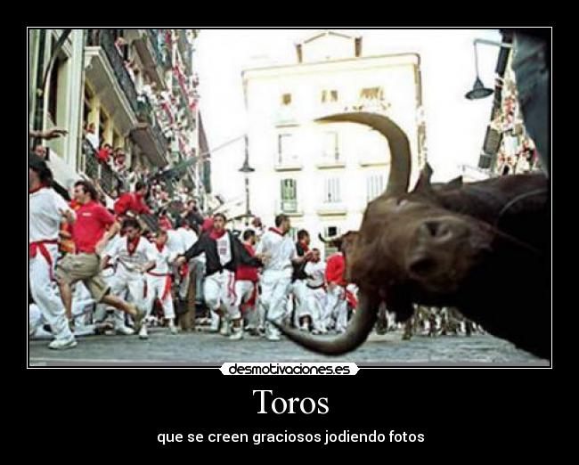 Toros -