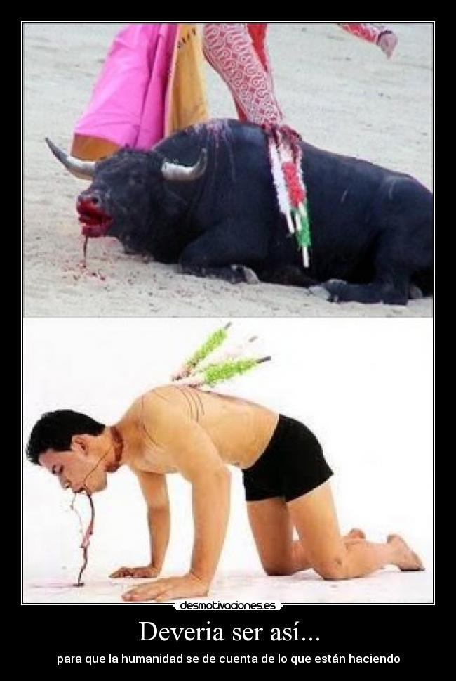 Deveria ser así... - 