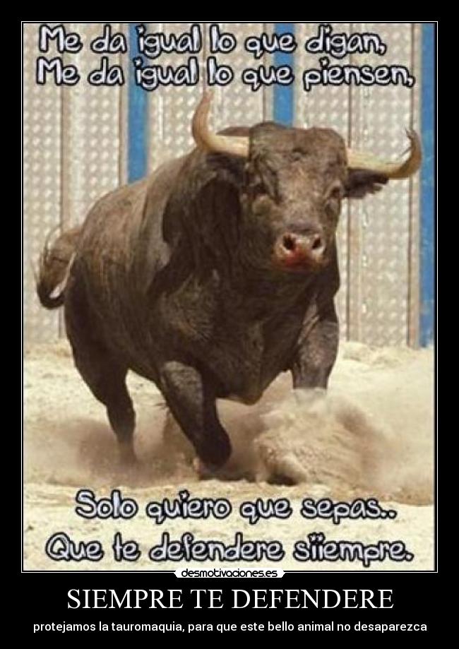SIEMPRE TE DEFENDERE - protejamos la tauromaquia, para que este bello animal no desaparezca