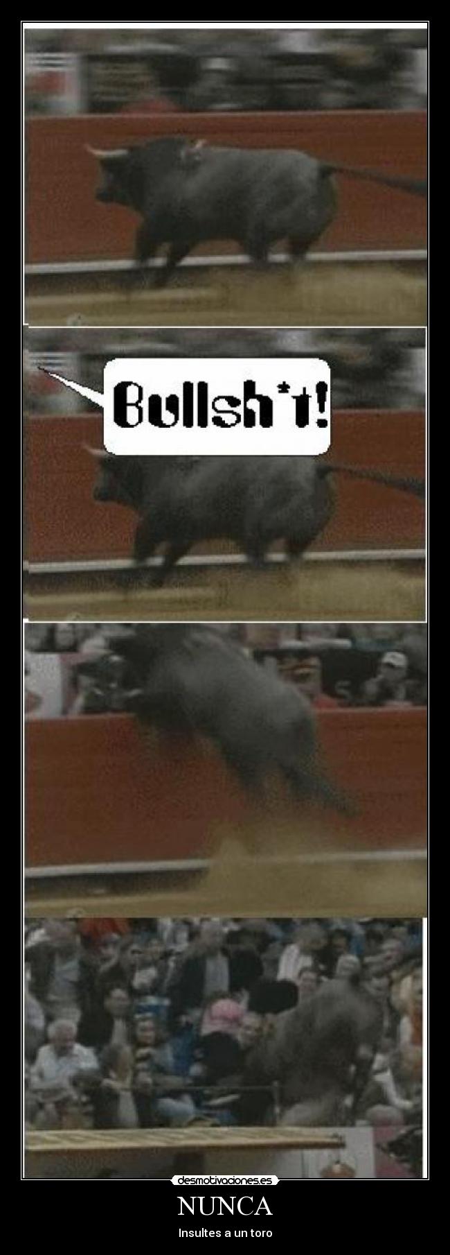 NUNCA - Insultes a un toro