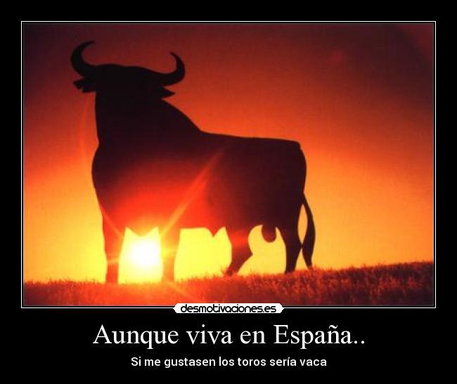 Aunque viva en España.. - Si me gustasen los toros sería vaca