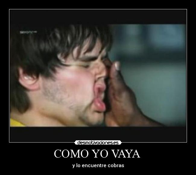 COMO YO VAYA - y lo encuentre cobras