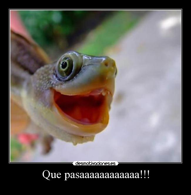 Que pasaaaaaaaaaaaa!!! -