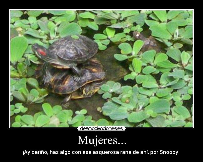 Mujeres... - 