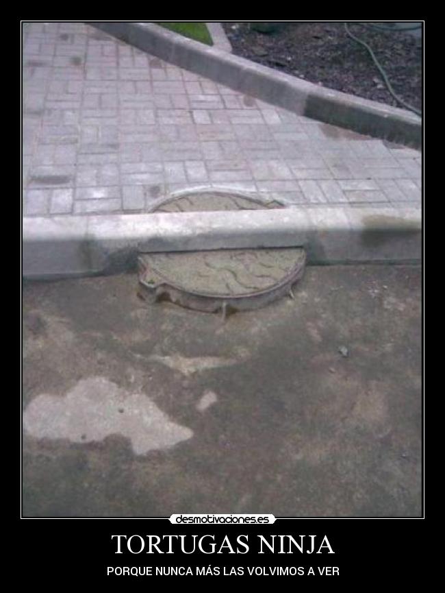 TORTUGAS NINJA - 