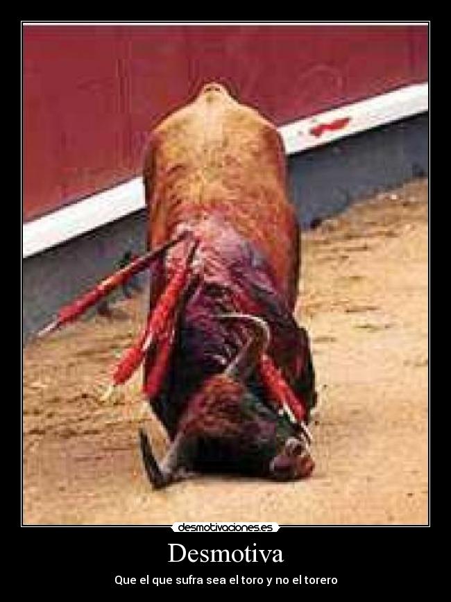 Desmotiva - Que el que sufra sea el toro y no el torero
