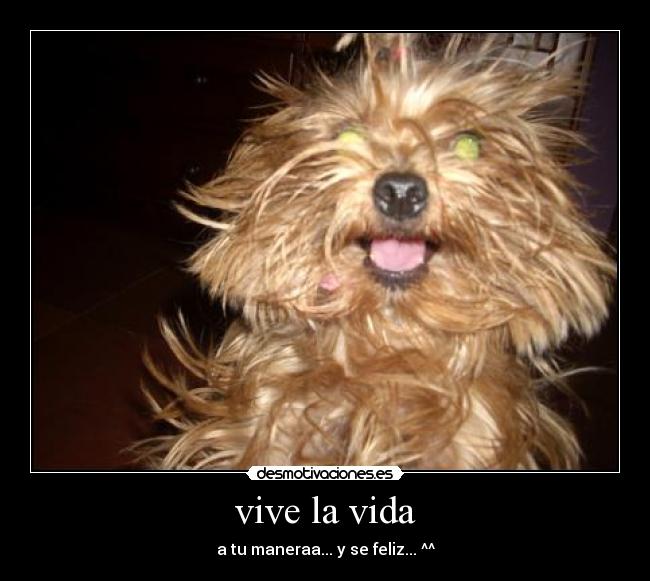 vive la vida - 