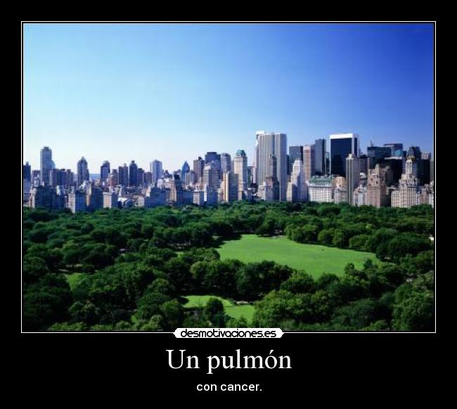 carteles central park nueva york contaminacion desmotivaciones