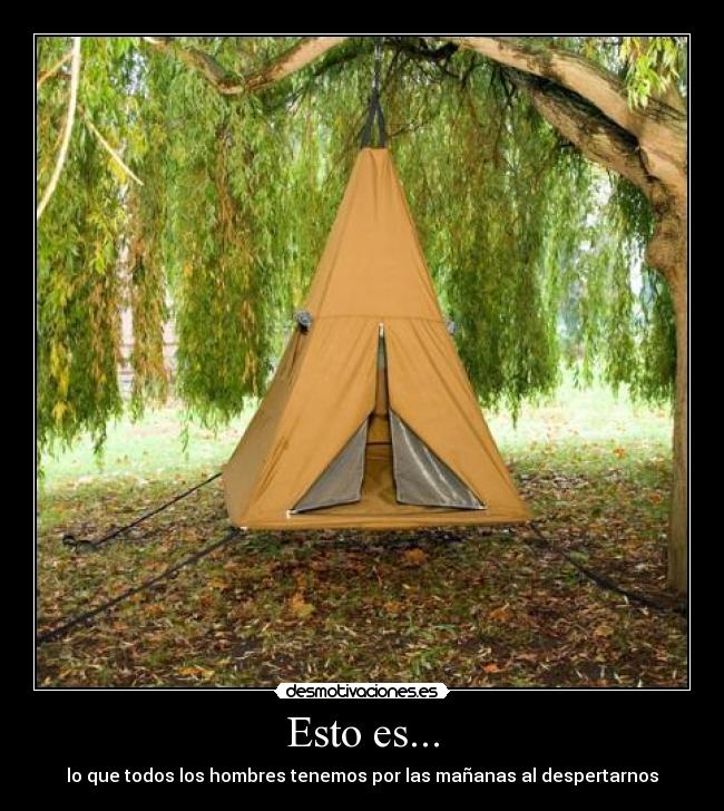 Esto es... - lo que todos los hombres tenemos por las mañanas al despertarnos
