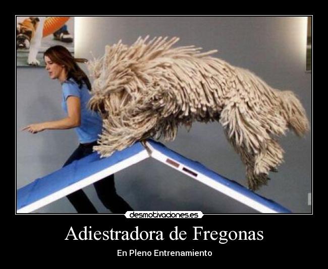 Adiestradora de Fregonas - 