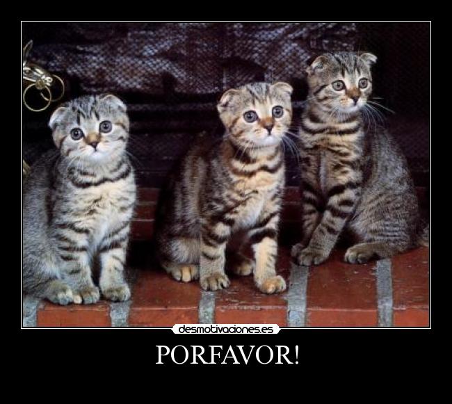 PORFAVOR! - 