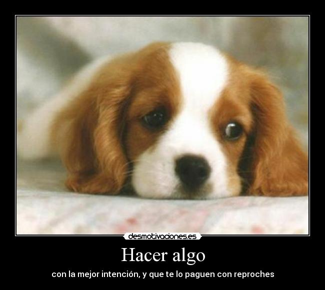 Hacer algo - con la mejor intención, y que te lo paguen con reproches