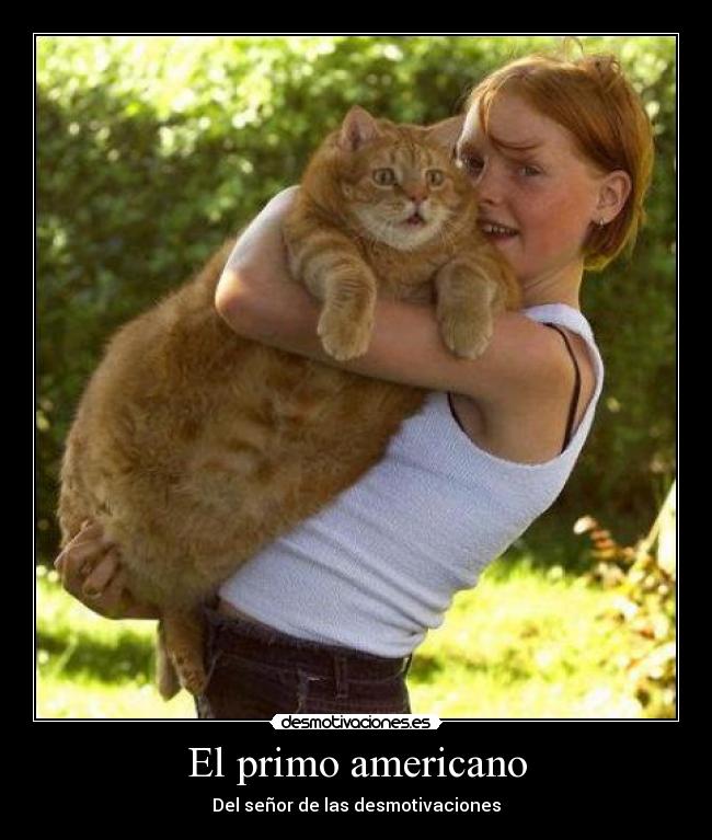 El primo americano - Del señor de las desmotivaciones