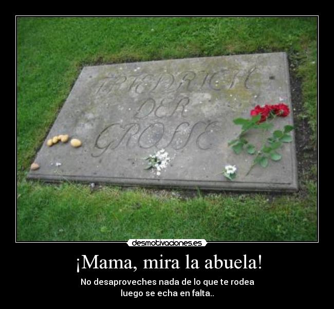 ¡Mama, mira la abuela! - No desaproveches nada de lo que te rodea
luego se echa en falta..