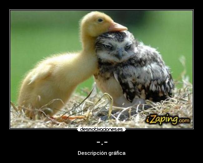 -.- - Descripción gráfica