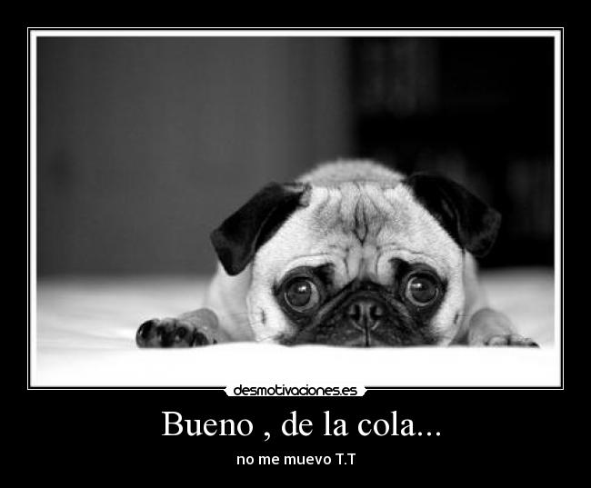 Bueno , de la cola... - no me muevo T.T