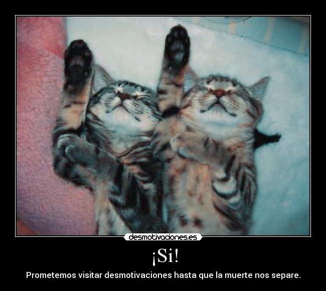 ¡Si! - Prometemos visitar desmotivaciones hasta que la muerte nos separe.