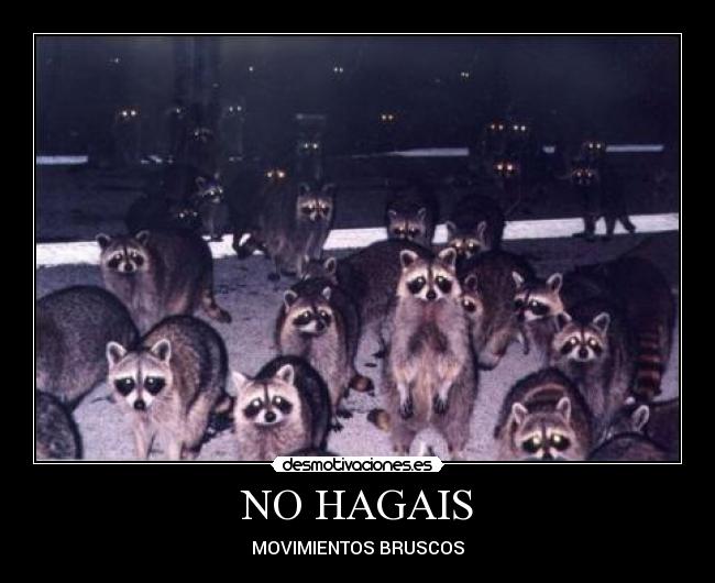 NO HAGAIS -