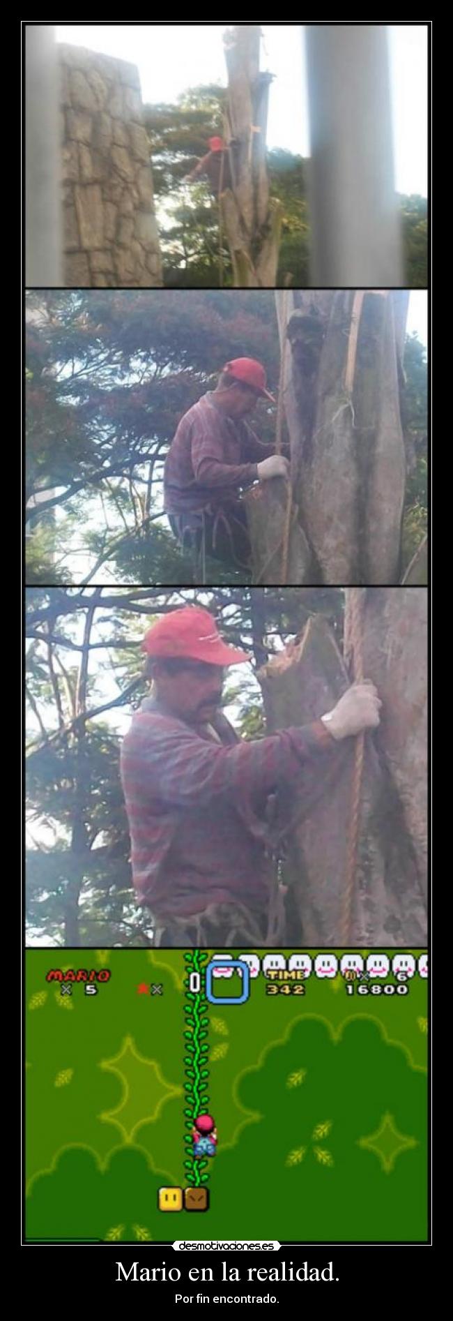 Mario en la realidad. -