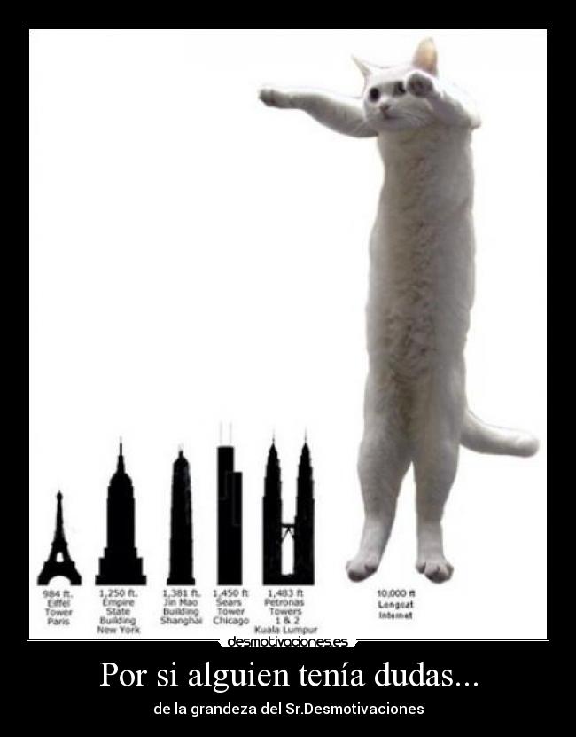 Por si alguien tenía dudas... -