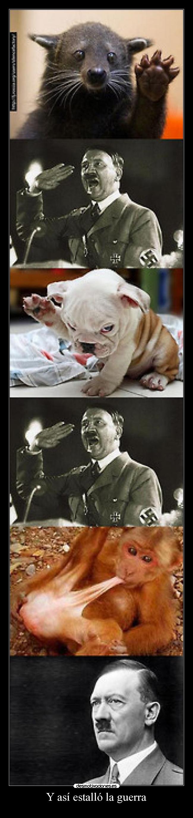 Y así estalló la guerra - 