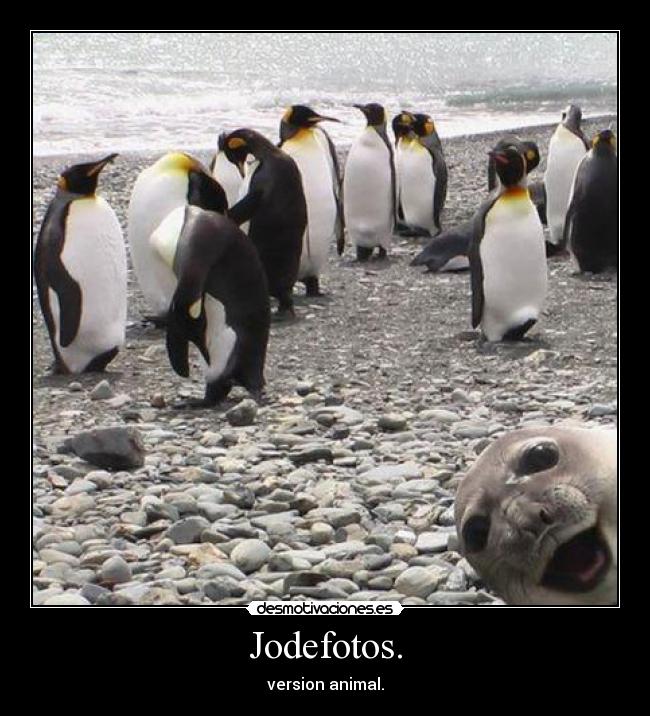 Jodefotos. -