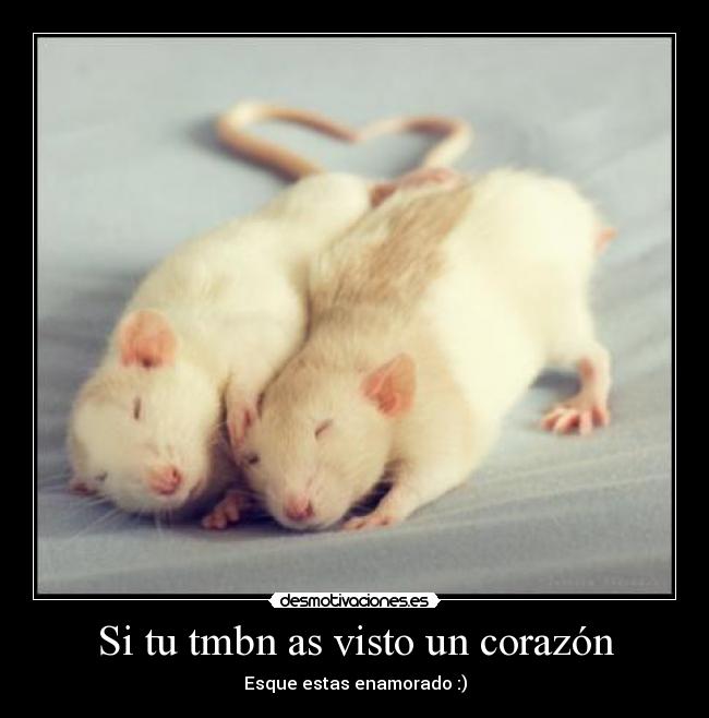 Si tu tmbn as visto un corazón - Esque estas enamorado :)