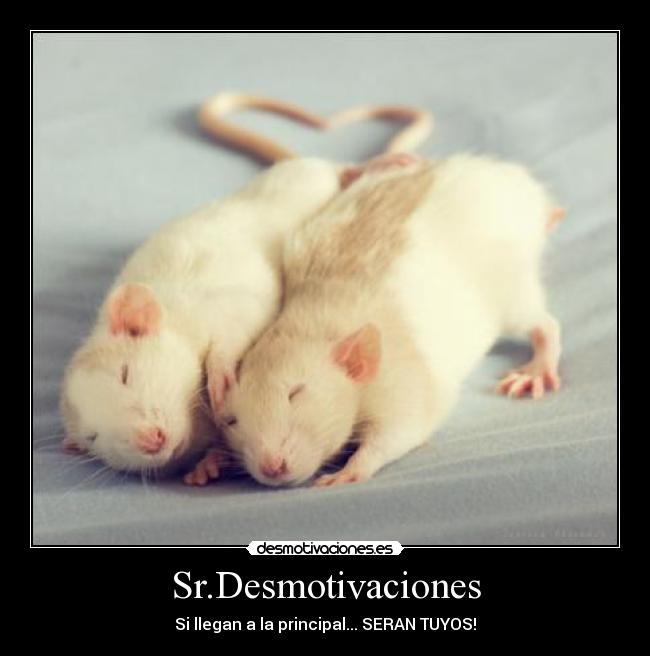 Sr.Desmotivaciones - 