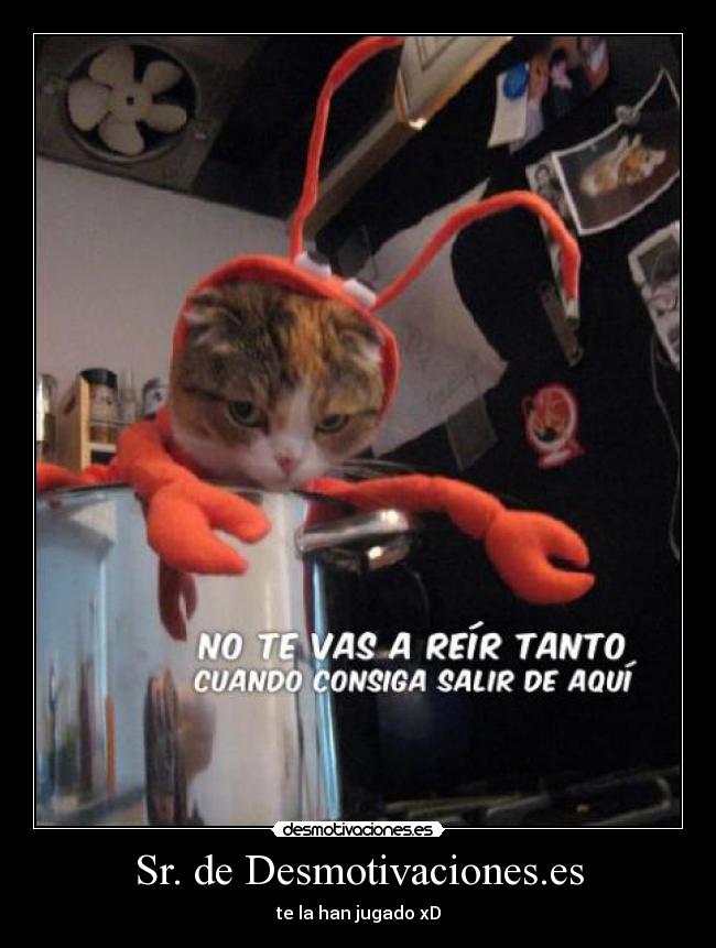 Sr. de Desmotivaciones.es - 