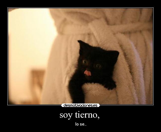 soy tierno,  - 