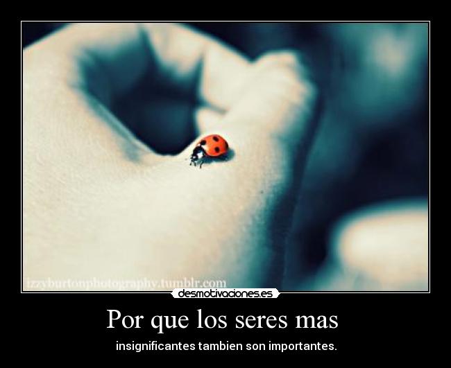 Por que los seres mas - insignificantes tambien son importantes.