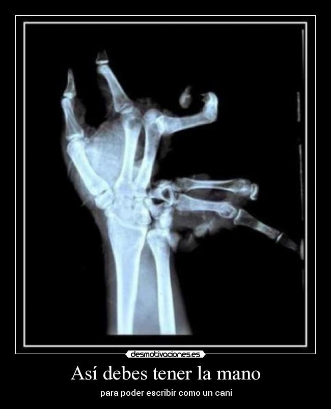 Así debes tener la mano - para poder escribir como un cani