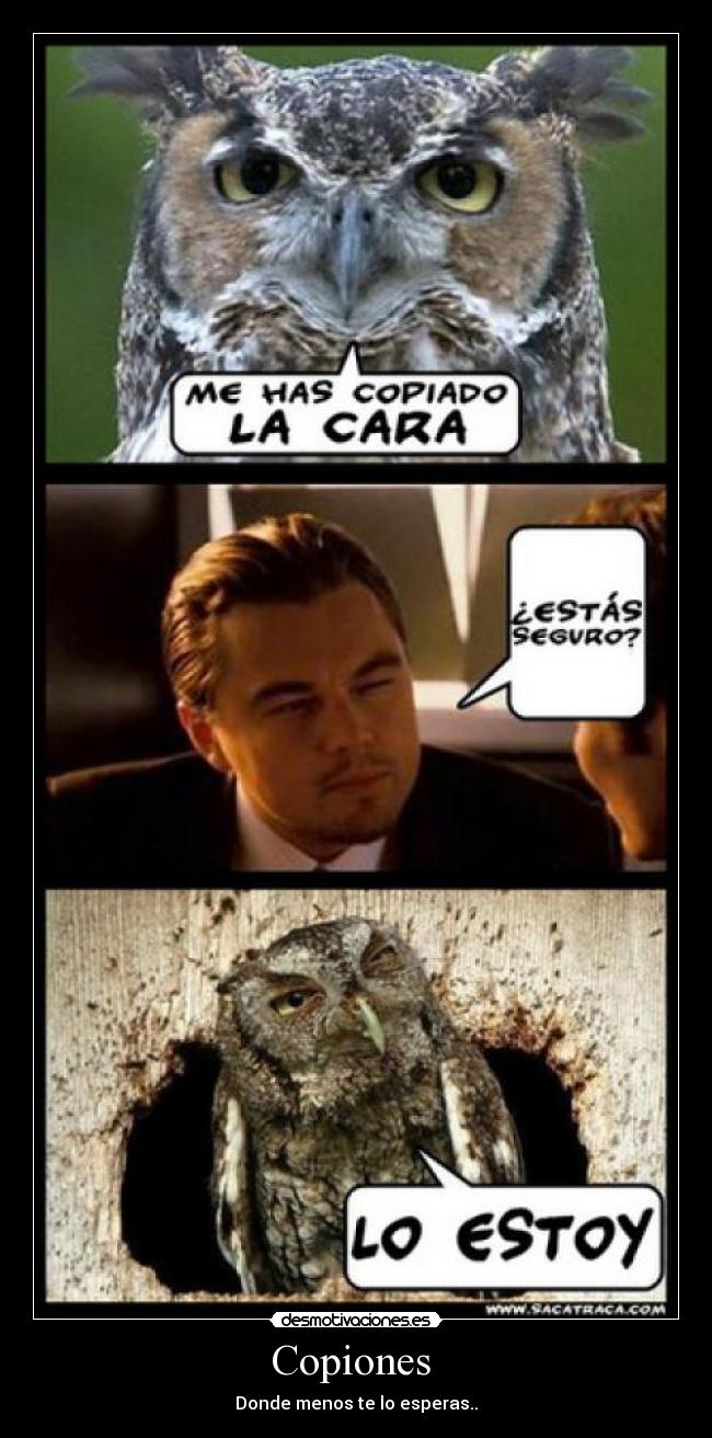 Copiones - Donde menos te lo esperas..