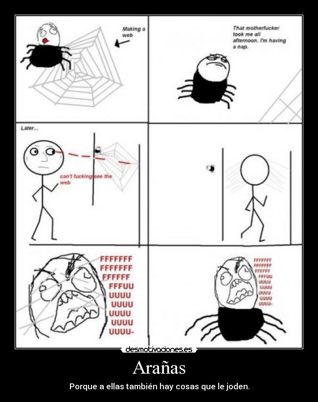 Arañas -