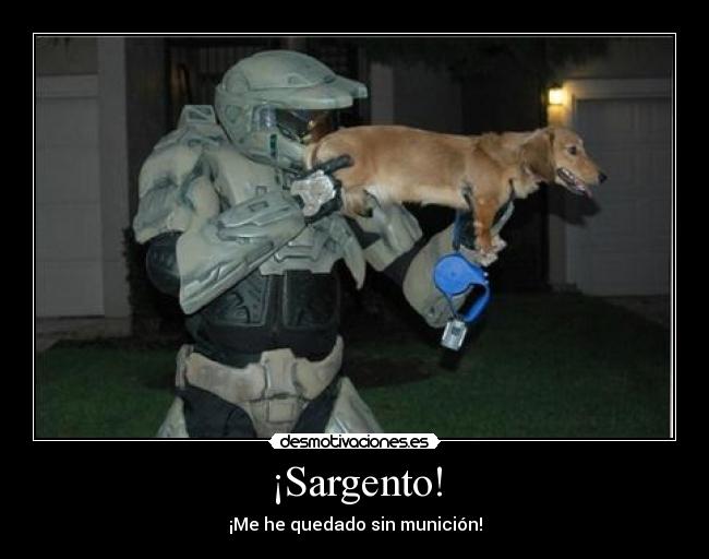 ¡Sargento! - ¡Me he quedado sin munición!
