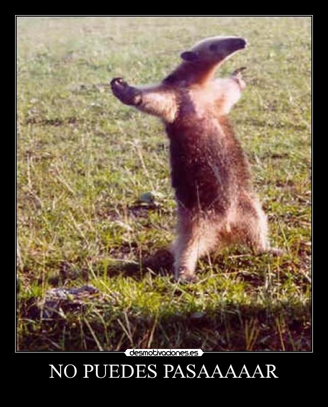 NO PUEDES PASAAAAAR -
