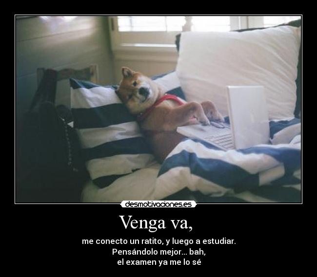Venga va, - me conecto un ratito, y luego a estudiar.
Pensándolo mejor... bah,
el examen ya me lo sé
