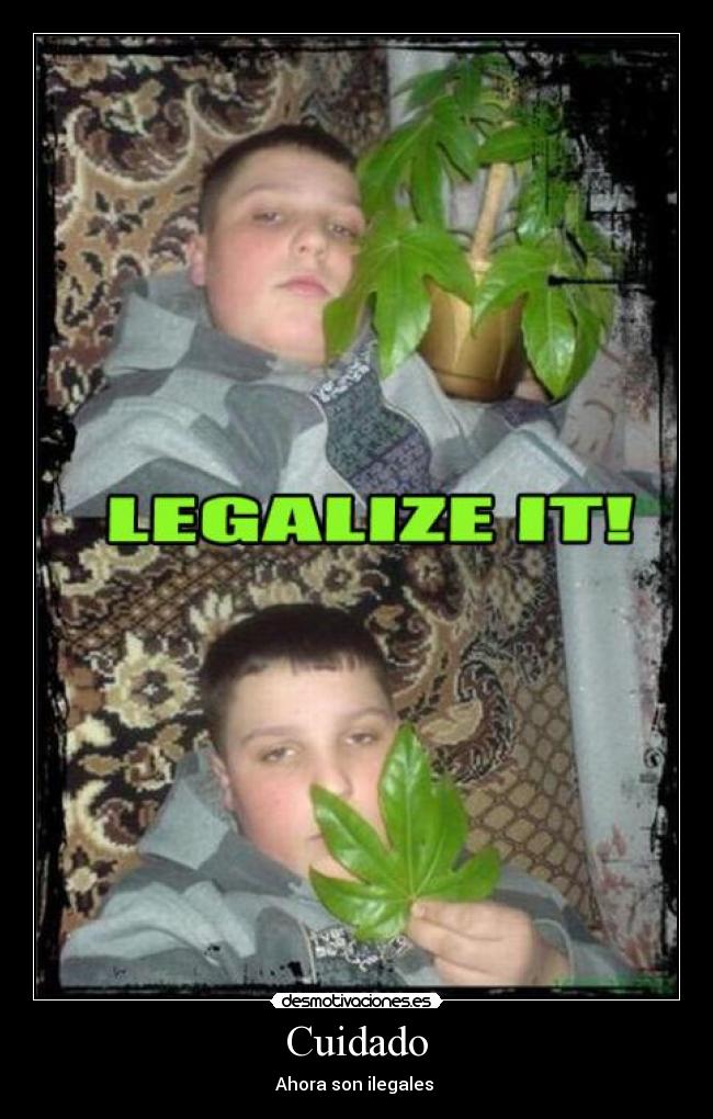 Cuidado - Ahora son ilegales 