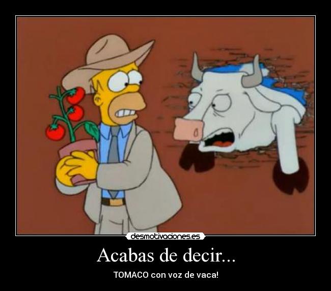 Acabas de decir... -