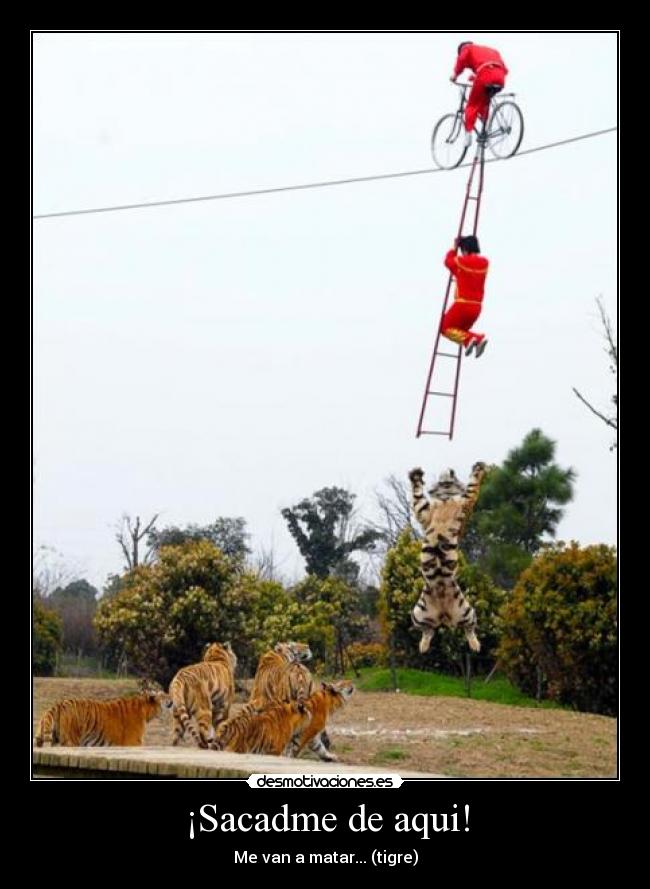 ¡Sacadme de aqui! -