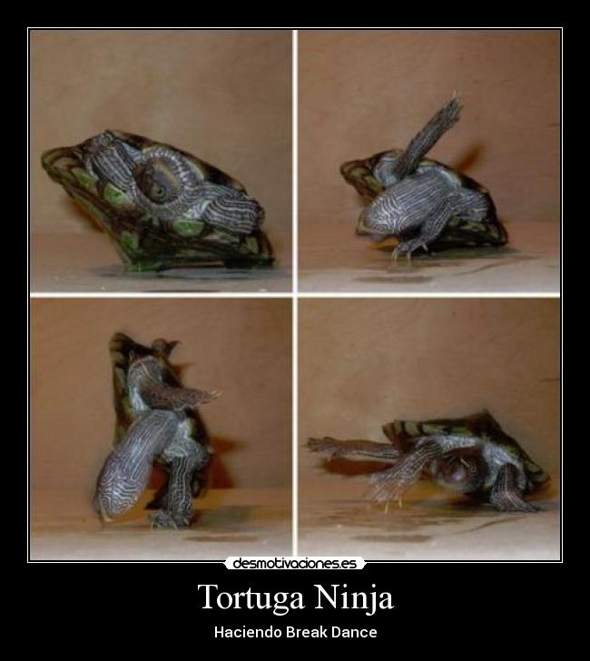 Tortuga Ninja -