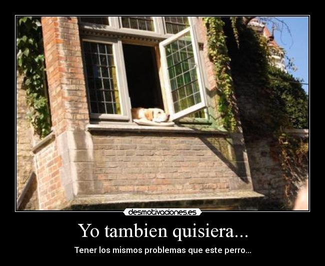 Yo tambien quisiera... -
